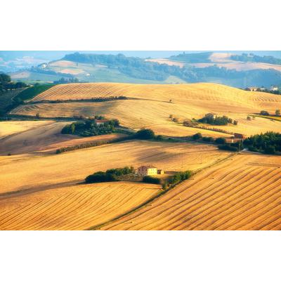 Fototapete PAPERMOON "Felder", bunt, B:4,00m L:2,60m, Vlies, Tapeten Image