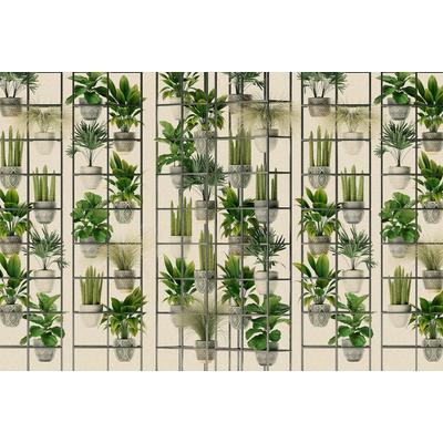 Fototapete LIVING WALLS "Walls by Patel Plant Shop", grün (grün, beige), B:4,00m L:2,7m, Vlies, Tapeten, Vlies, Wand