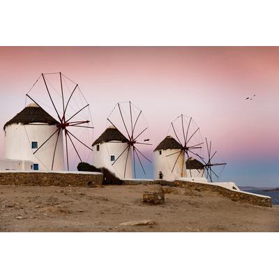 Fototapete PAPERMOON "Windmühlen", bunt, B:5,00m L:2,80m, Vlies, Tapeten Image