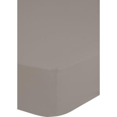Spannbettlaken HIP "Hip in Gr. 90x200, 140x200 oder 180x200 cm", grau (taupe), B:180cm L:200cm, Satin, Obermaterial: 100% Baumwolle, Laken, 100% Baumwolle, Mako-Satin, Rundumgummi, bis 25 cm Höhe Image