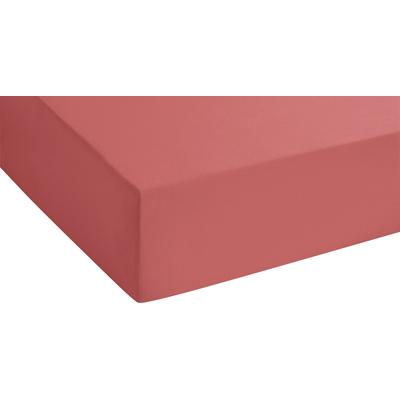 Spannbettlaken BIBERNA "GOTS Biber in Gr. 90x200, 140x200 oder 180x200 cm", braun (braun, rot), B:140-160cm L:200cm, Biber, Obermaterial: 100% Baumwolle, Laken, aus Bio-Baumwolle, für Matratzen bis 22 cm Höhe, Winter, Bettlaken Image