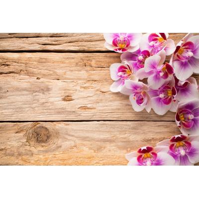 Fototapete PAPERMOON "Blumen auf holz", bunt, B:4,50m L:2,80m, Vlies, Tapeten Image