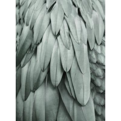 Fototapete LIVING WALLS "ARTist Feathers", grün, B:2m L:2,7m, Vlies, Tapeten, Vlies, Wand, Schräge