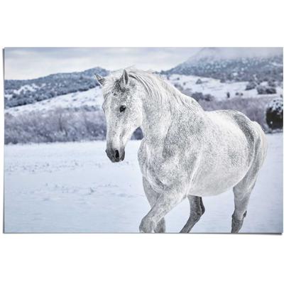 Poster REINDERS "Pferd im Schnee", weiß (farbe bild(er): weiß), B:91,5cm H:61cm, Papier, Bilder Image