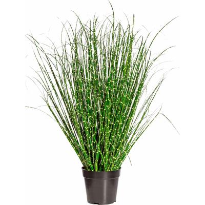 Kunstgras CREATIV GREEN "Miscanthus Zebrinus", grün, H:80cm, Kunststoff, Kunstpflanzen Image