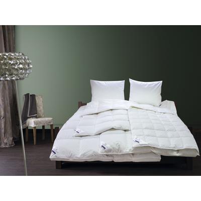 Gänsedaunenbettdecke BILLERBECK "Geneva 90, Bettdecke für Sommer und Winter, Decke", weiß, B:155cm L:220cm, Bezug: 100% Baumwolle. Füllung: 90% Gänsedaunen, 10% Gänsefeder, Bettdecken, Die extra warme Gänsedaunendecke Image