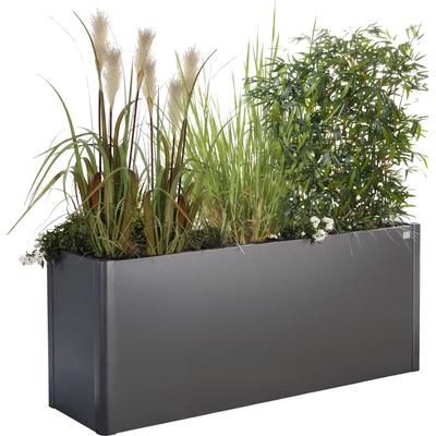 Hochbeet BIOHORT "Belvedere", grau (dunkelgrau, metallic), B:152cm H:61cm T:53cm, Stahlblech, Pflanzgefäße, BxTxH: 152x53x61 cm