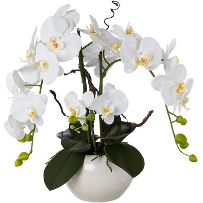 Kunstorchidee CREATIV GREEN "Phalaenopsis", weiß, H:55cm, Kunststoff, Kunstpflanzen, im Keramiktopf Image