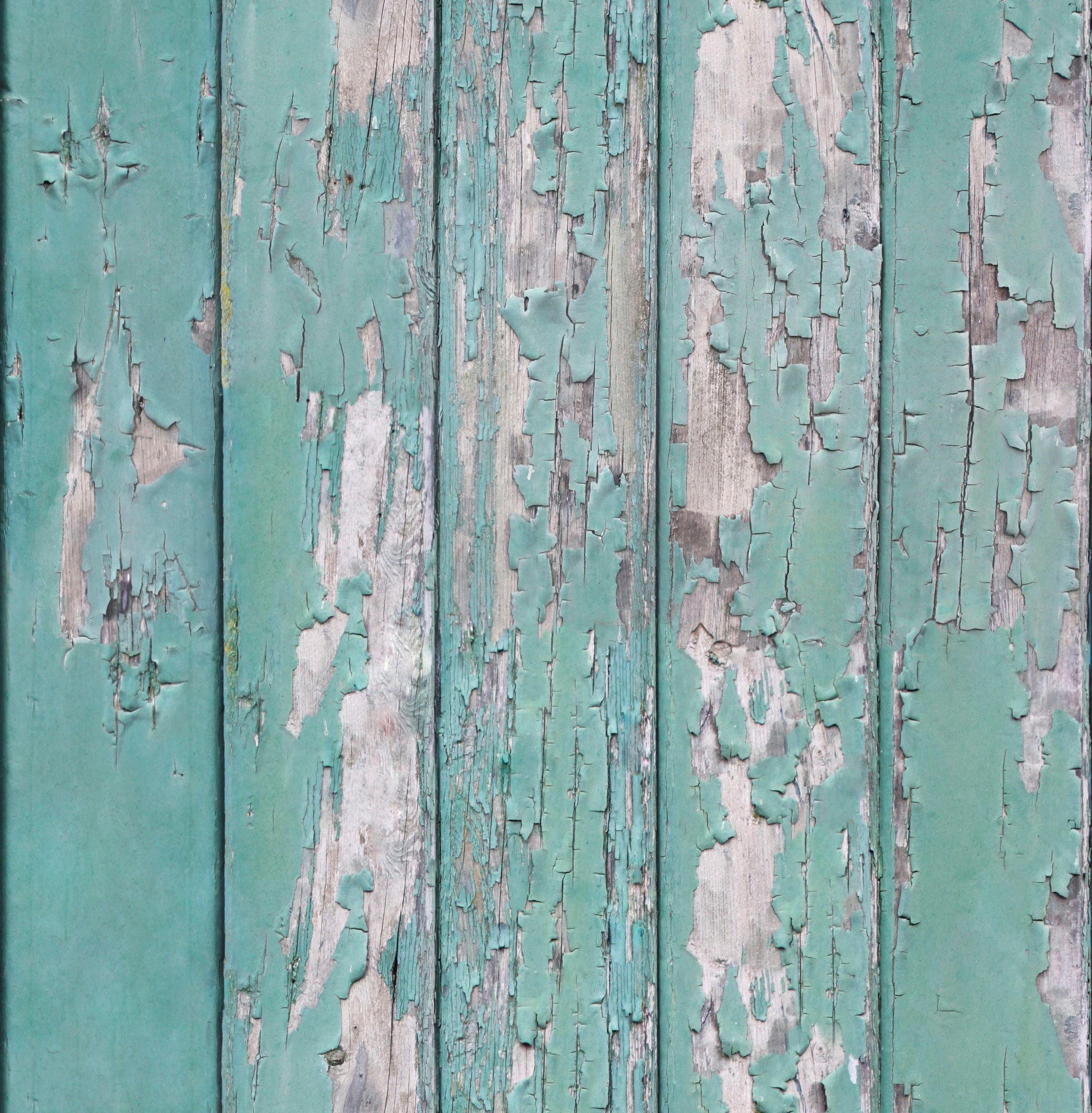 Vliestapete SUPERFRESCO EASY "Abgeblättertes Holz", grün, B:0,53m L:10,05m, Vlies, Tapeten, verwittertes Holz 10 m x 0.52 m