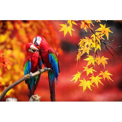 Fototapete PAPERMOON "Landschaft", bunt, B:4,00m L:2,60m, Vlies, Tapeten Image
