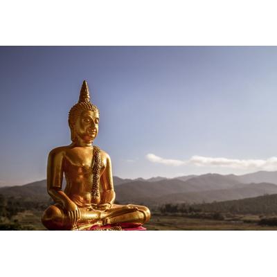 PAPERMOON Fototapete "Goldene Buddha-Statue" Tapeten Gr. B/L: 4 m x 2,6 m, Bahnen: 8 St., bunt (mehrfarbig) Fototapeten