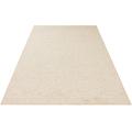 Teppich HANSE HOME "Wolly 2" Teppiche Gr. B/L: 160 cm x 240 cm, 12 mm, 1 St., beige (creme) Esszimmerteppiche