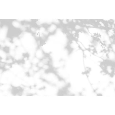Fototapete LIVING WALLS "Walls by Patel Light Room", grau, B:4,00m L:2,7m, Vlies, Tapeten, Vlies, Wand