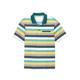 Poloshirt CLASSIC "Poloshirt" Gr. 56/58, bunt (gelb, petrol, salbei, gestreift) Herren Shirts Kurzarm