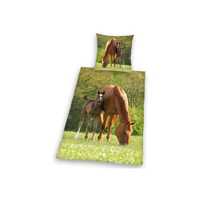 Kinderbettwäsche HERDING YOUNG COLLECTION "Pferd mit Fohlen" Bettwäsche Gr. B/L: 135 cm x 200 cm (1 St.), B/L: 80 cm x 80 cm (1 St.), Linon, grün Bettwäsche 135x200 cm