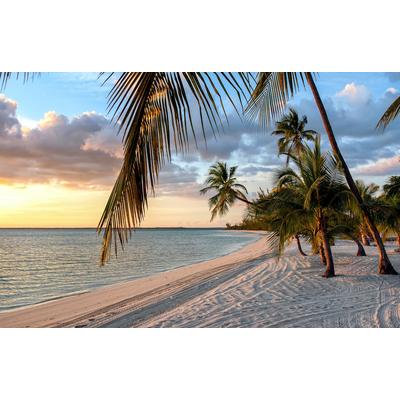 Fototapete PAPERMOON "Strand mit Palmen", bunt, B:5,00m L:2,80m, Vlies, Tapeten Image