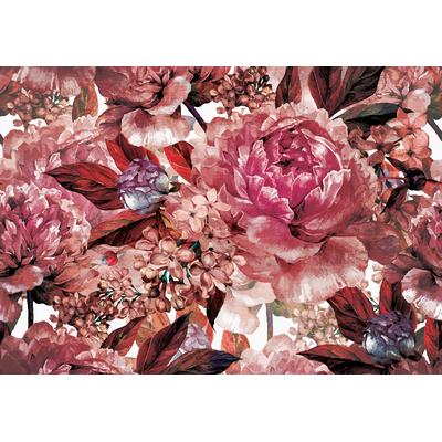 CONSALNET Vliestapete "Hellroter Blumen Mix" Tapeten Gr. B/L: 1,04 m x 0,7 m, rosa (rosa, weiß) Vliestapeten Tapeten