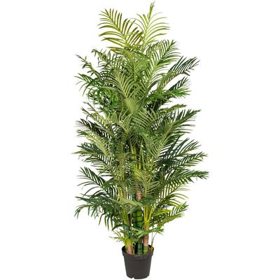 Kunstpalme CREATIV GREEN "Arecapalme", grün, H:220cm, Kunststoff, Kunstpflanzen Image