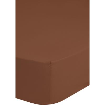 Spannbettlaken GOOD MORNING "Renforcé Good Morning", orange (terra), B:90cm L:220cm, Renforcu00e9, Obermaterial: 100% Baumwolle, Laken, 100% Baumwolle, Renforcé, Rundumgummi, bis 25 cm höhe, 80x200, Weiß Image