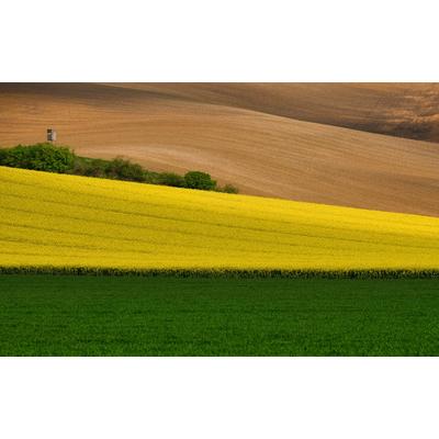 Fototapete PAPERMOON "Felder", bunt, B:3,50m L:2,60m, Vlies, Tapeten Image