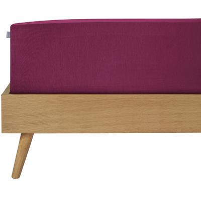Spannbettlaken SCHIESSER "Jessi aus 100% Baumwolle", lila (beere), B:100cm L:200cm, Jersey, Obermaterial: 100% Baumwolle, Laken, für Matratzen bis zu 22 cm Höhe, MADE IN GREEN by OEKO-TEX Image