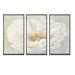 Design Art White Serene Peony - Traditional Framed Canvas Wall Art Set Of 3 Canvas, Wood in White/Yellow | 20 H x 36 W x 1 D in | Wayfair