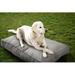 Tucker Murphy Pet™ IndoorOutdoor Sunbrella Dog Bed Polyester in White/Brown | 5 H x 54 W x 42 D in | Wayfair F33861ECC67544D3BF4FBC2535FFDA18