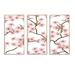 Red Barrel Studio® Pink Cherry Blossoms On Branches On White - Patterned Framed Canvas Wall Art Set Of 3 Metal in Brown/Pink/Red | Wayfair