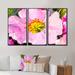 Red Barrel Studio® Pink Flower Oil Painting - Floral Framed Canvas Wall Art Set Of 3 Canvas, Wood in White | 28 H x 36 W x 1 D in | Wayfair