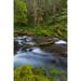 Millwood Pines USA Washington State Olympic National Forest Big Quilcene River rapids Credit as: Don Paulson/Jaynes Gallery Poster Print by Jaynes Gallery (24 x Paper | Wayfair