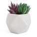 Primrue 4.25" Artificial Succulent in Decorative Vase Ceramic/Plastic | 4.25 H x 4 W x 4 D in | Wayfair 05EAC154573B48EB87F6DBD2D5BE5F07