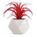 Primrue 6" Artificial Fern Succulent in Decorative Vase Ceramic/Plastic | 6 H x 4 W x 4 D in | Wayfair 5C61C1C890C04D61BF03088902ED78E6