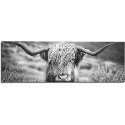 Wandbild REINDERS "Wandbild Highlander Bulle Tiermotiv - Nahaufnahme - Hochlandrind Bild", schwarz (farbe bild(er): schwarz, weiß), B:156cm H:52cm, MDF, Bilder Image