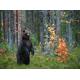 PAPERMOON Fototapete "Brown Bear in Autumn Forest" Tapeten Gr. B/L: 2,5 m x 1,86 m, Bahnen: 5 St., bunt (mehrfarbig) Fototapeten