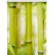Seitenzugrollo LICHTBLICK ORIGINAL "Klemmfix Motiv Bambus" Rollos Gr. 150 cm, 45 cm, grün (grün, weiß) Rollos ohne Bohren