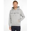 Kapuzensweatshirt TOMMY HILFIGER "TOMMY LOGO HOODY", Herren, Gr. S (46), grau (cloud htr), Obermaterial: 72% Baumwolle, 28% Polyester, casual, Basic schmal, Langarm Rippbündchen, Sweatshirts