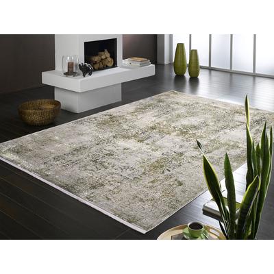 Teppich OCI DIE TEPPICHMARKE "BESTSELLER CAVA", grün (grün, grau), B:200cm H:8mm L:290cm, Kunstfaser, Viskose, Teppiche, Fransenteppich, Glanz Viskose, mit Fransen, Hoch Tief Struktur, Vintage, Wohnzimmer Image