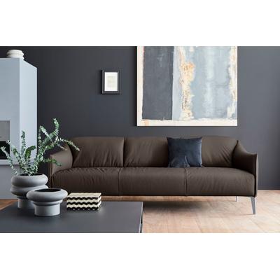 3-Sitzer W.SCHILLIG "sally", braun (braun z59), B:224cm H:78cm T:84cm, Longlife Xtra-Leder Z59: Glattleder mit modischer Prägung. Hautstärke 0, 9 - 1, 1 mm., Sofas, mit Metall-Winkelfüßen in Silber matt, Breite 224 cm Image