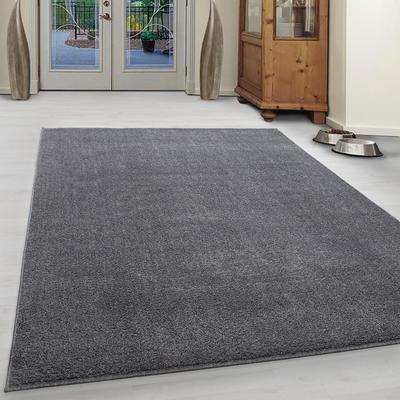 Teppich AYYILDIZ TEPPICHE "ATA" Gr. 8, grau (hellgrau), B:280cm H:10mm L:370cm, Kunstfaser, Teppiche, Kurzflor, uni, große Farbauswahl, robust, auch als Läufer und in rund Image