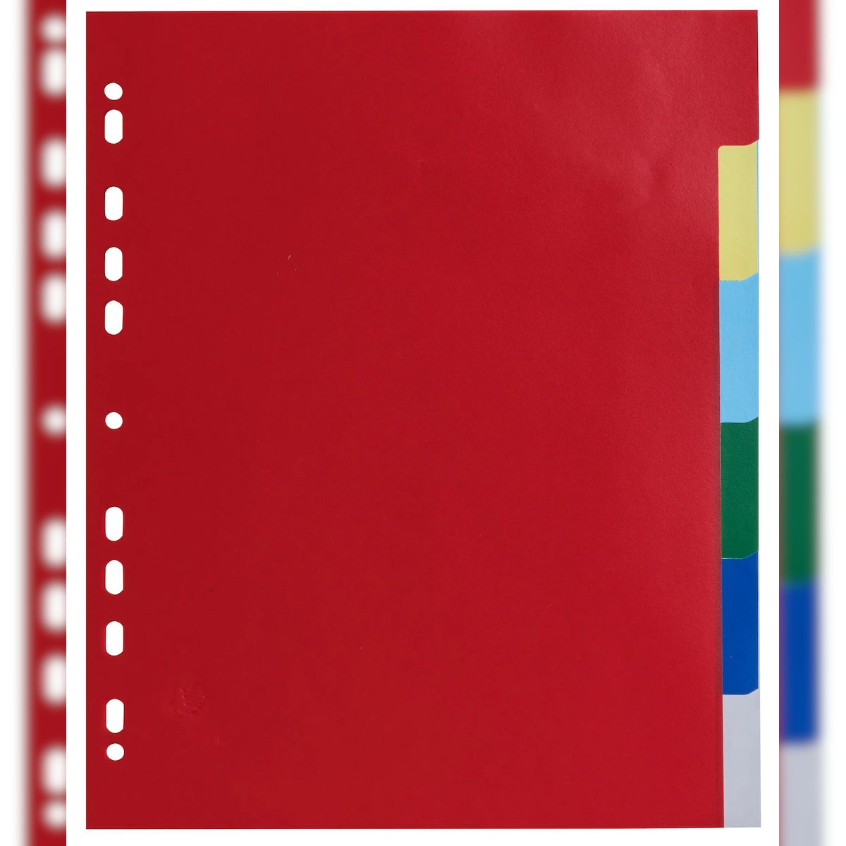 Exacompta 83H 100x Register aus PP 120µ mit 6 Positionen, für Format DIN A4 Maxi - Farben sortiert Image