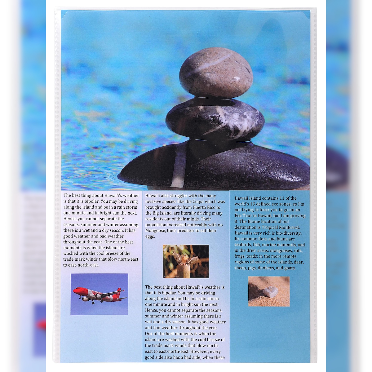 Exacompta 38040E 10x Packung mit 10 Dokumentenschutzhüllen einfach aus PP 120µ, für Format DIN A4 - Kristall Image