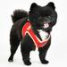 Red Step-In Soft Vest Dog Harness II, Large