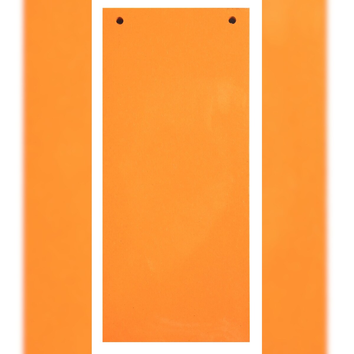 Exacompta 13365B 12x Packung mit 100 Trennstreifen, 2-fach gelocht, 180g, 105x240mm - Orange Image