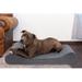 FurHaven Microvelvet Luxe Chaise Lounge Orthopedic Dog Bed Polyester in Gray/White | 9 H x 58 W x 42 D in | Wayfair 81739397