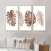 Bay Isle Home™ Tropical Monstera & Palm Leaf In Terracotta - 3 Piece Floater Frame Painting on Canvas in White | 28 H x 36 W x 1 D in | Wayfair