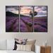 Ophelia & Co. Lavender Field at Dawn III - 3 Piece Floater Frame Print on Canvas Canvas, Wood in White | 20 H x 36 W x 1 D in | Wayfair