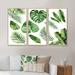 Bay Isle Home™ Tropical Leaf Of Monstera V - 3 Piece Floater Frame Painting on Canvas Canvas, Wood in White | 28 H x 36 W x 1 D in | Wayfair
