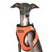Orange Step-In Soft Vest Dog Harness Pro, Large
