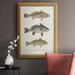 Rosecliff Heights Species Of Antique Fish III Print Canvas, Solid Wood in Black/Brown/Indigo | 27 H x 18 W x 2.5 D in | Wayfair