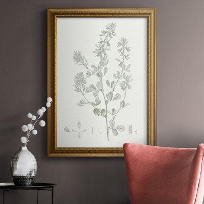 Red Barrel Studio® Botanical Study In Sage VIII Premium Framed Canvas- Ready To Hang Canvas, in Gray/White | 27 H x 18 W x 2.5 D in | Wayfair